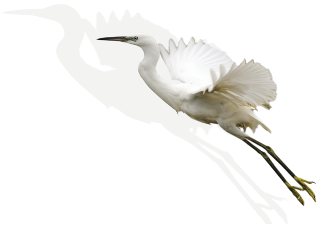 Fertő-táj ékkövei projekt